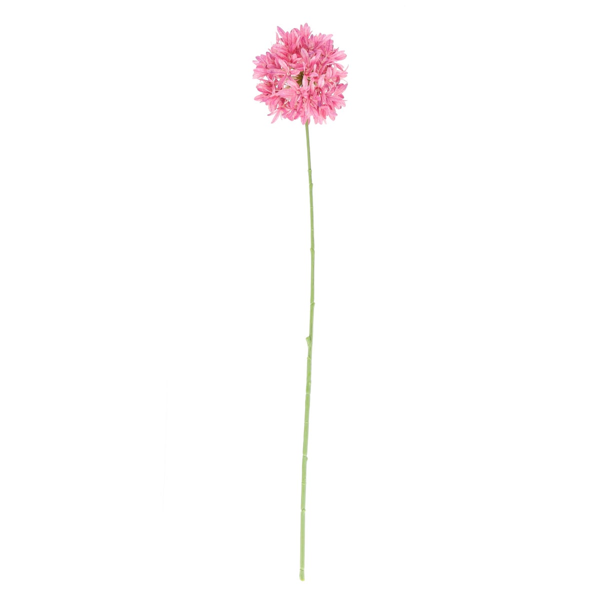 Tak petrea roze 75 cm Tak petrea roze 75 cm