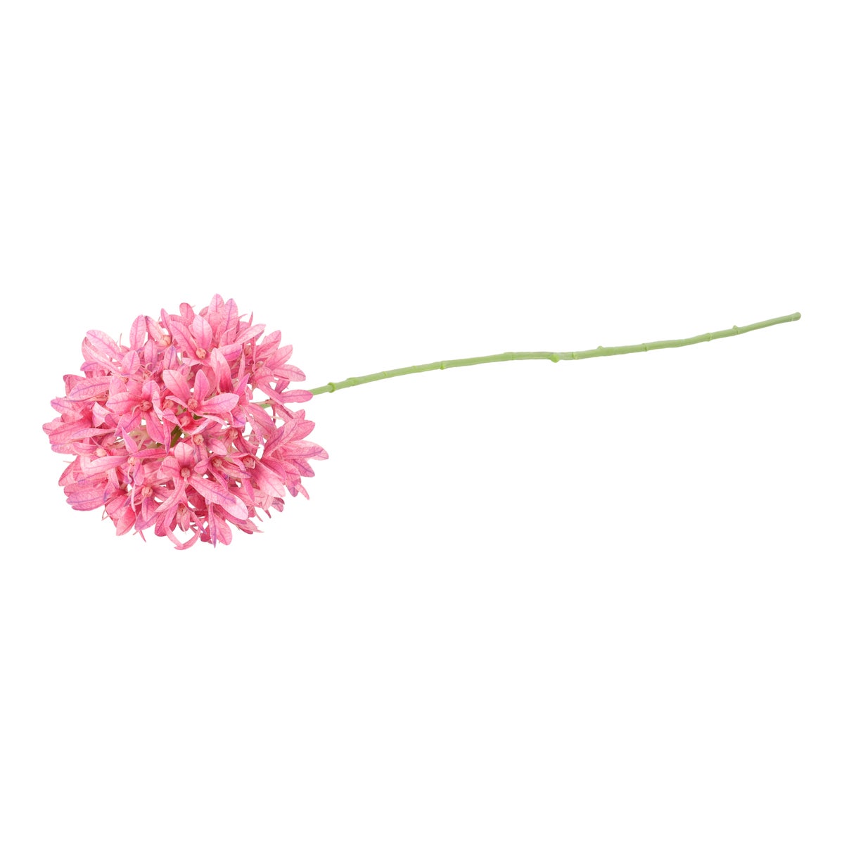 Tak petrea roze 75 cm Tak petrea roze 75 cm