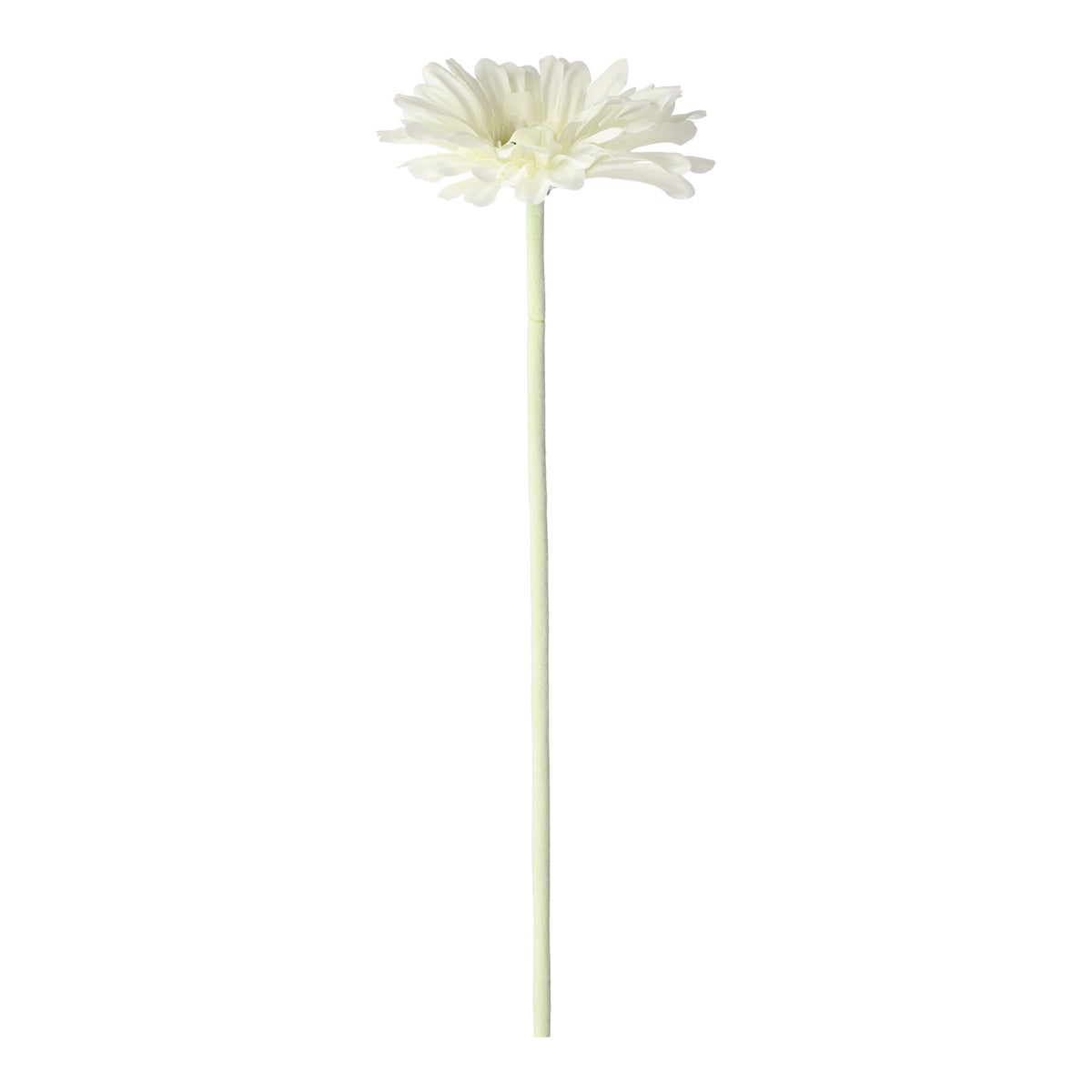 Bloem Gerbera wit 55 cm Bloem Gerbera wit 55 cm