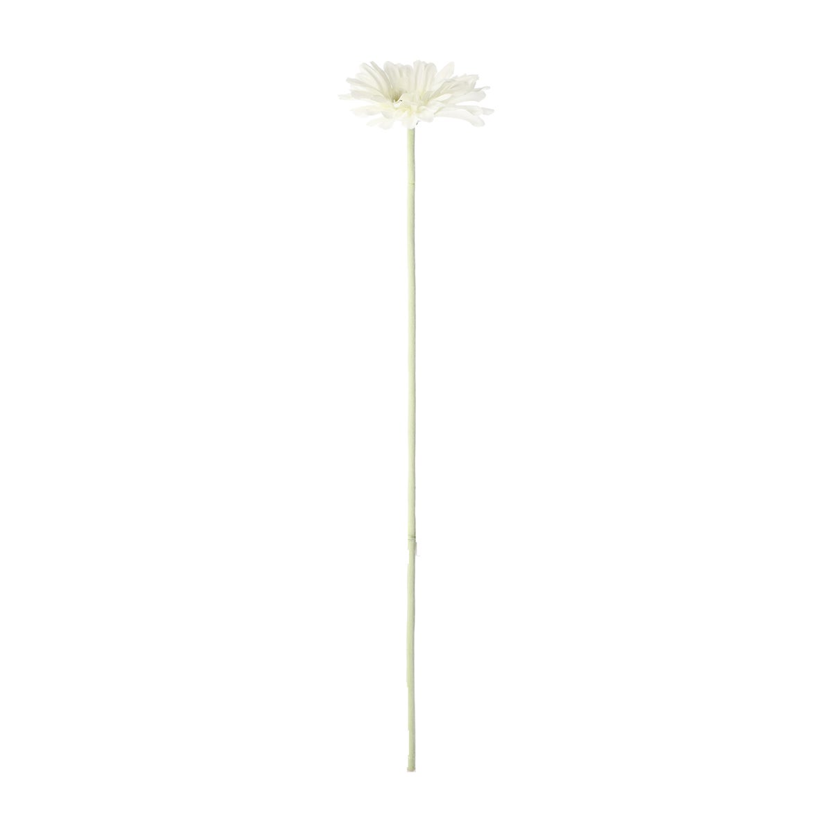 Bloem Gerbera wit 55 cm Bloem Gerbera wit 55 cm
