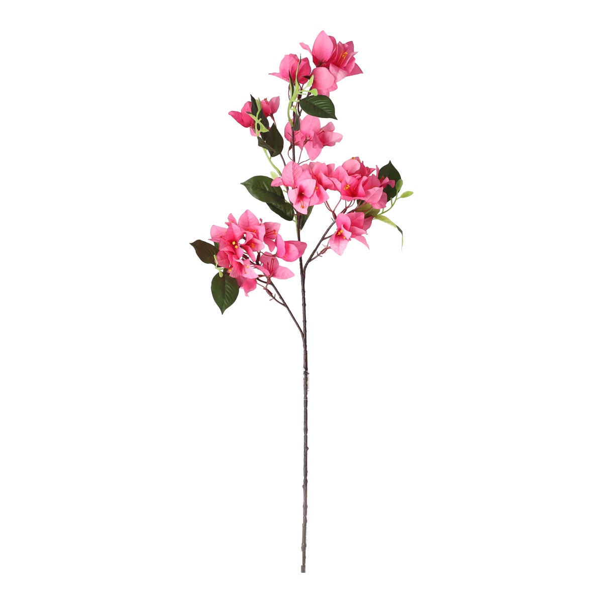 Bloem Bougainvillea fuchsia 76 cm Bloem Bougainvillea fuchsia 76 cm