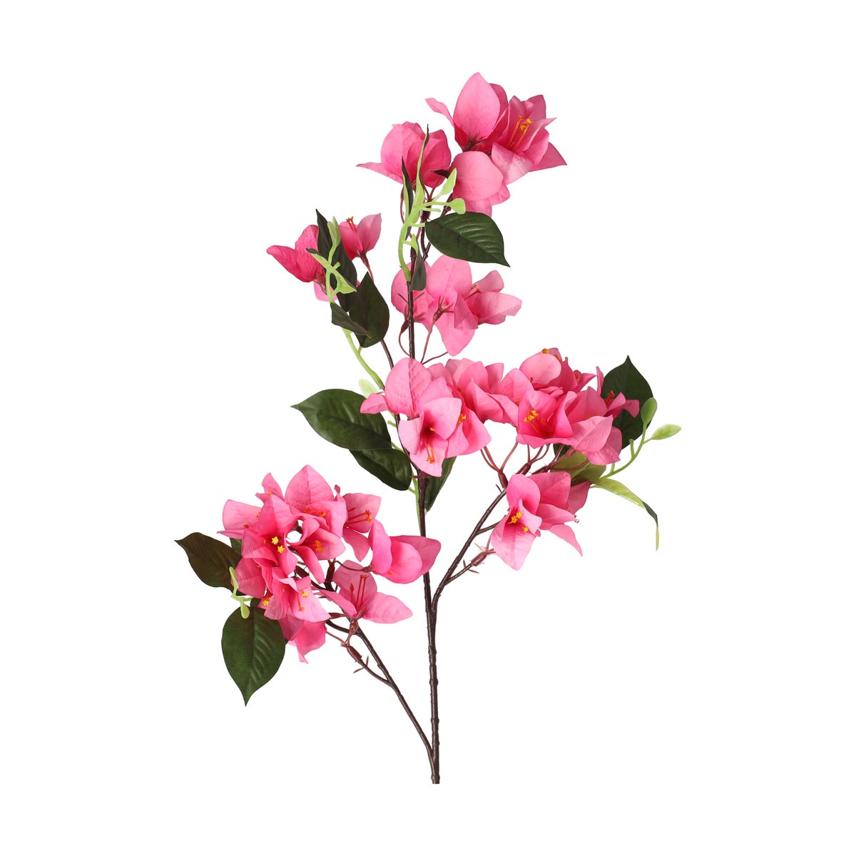 Bloem Bougainvillea fuchsia 76 cm Bloem Bougainvillea fuchsia 76 cm