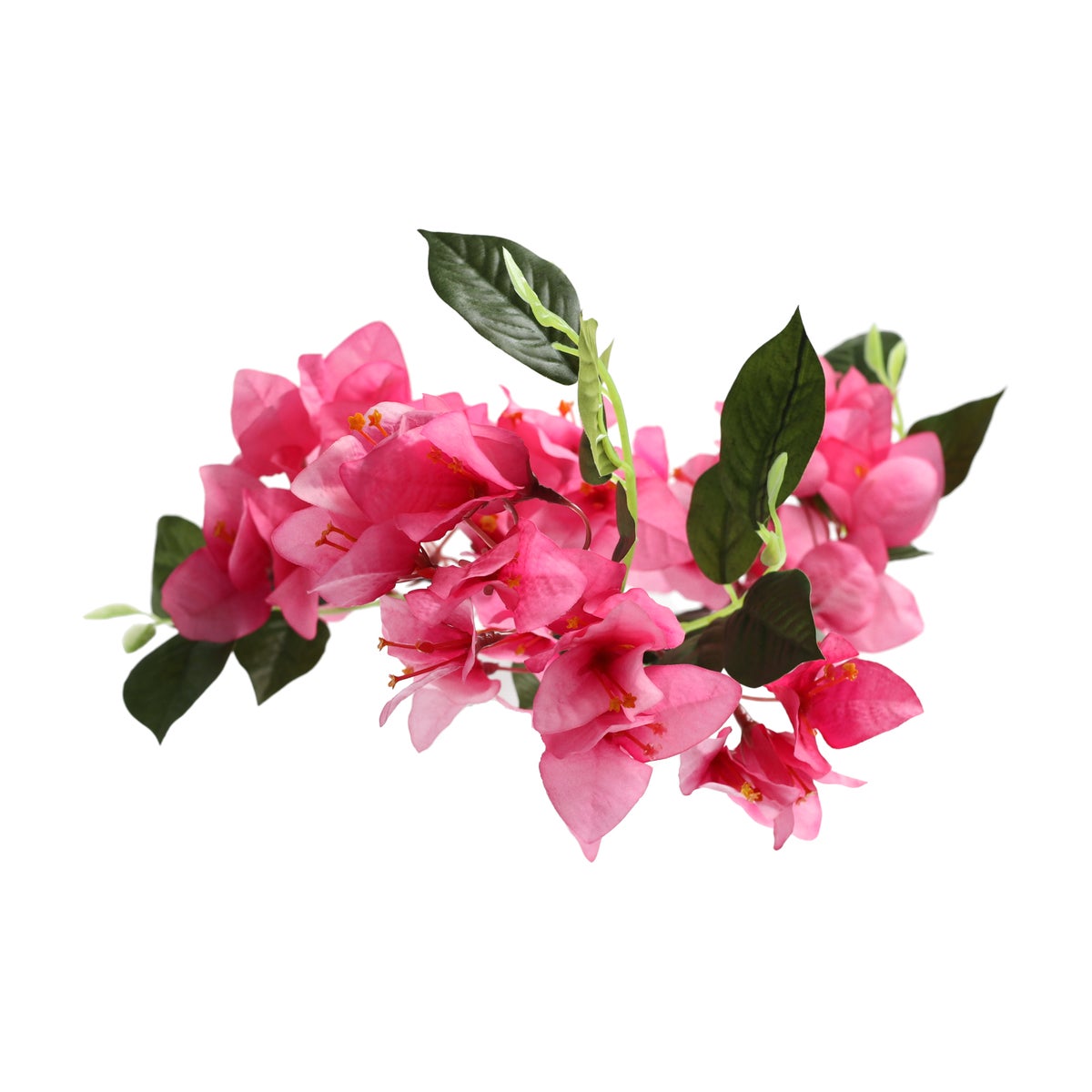 Bloem Bougainvillea fuchsia 76 cm Bloem Bougainvillea fuchsia 76 cm
