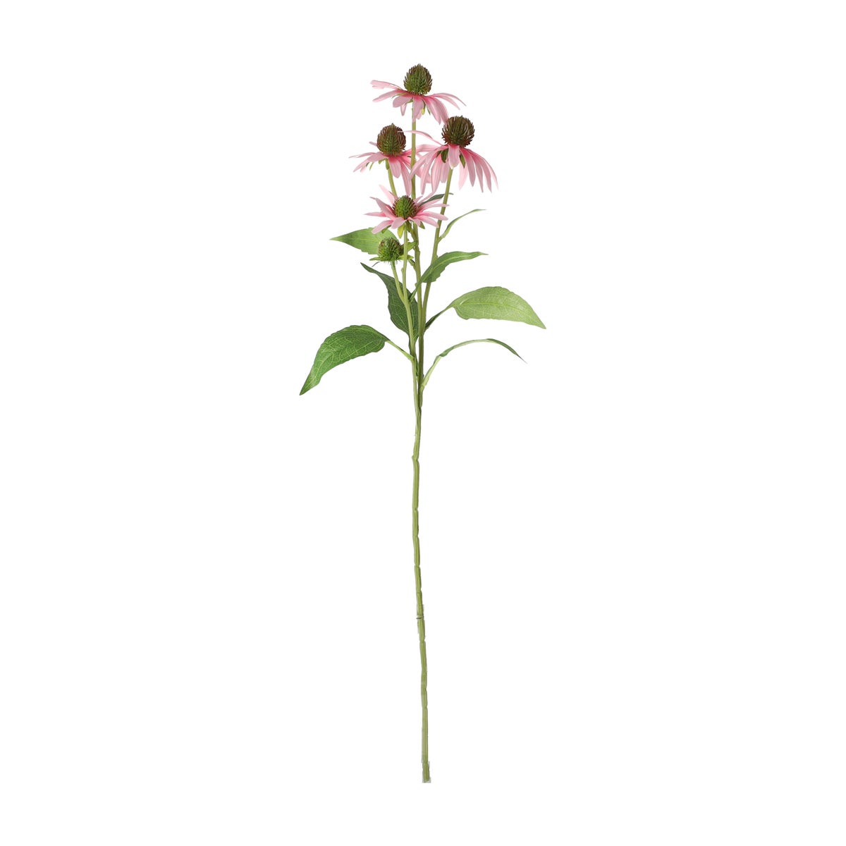Bloem Rudbeckia lila 73 cm Bloem Rudbeckia lila 73 cm