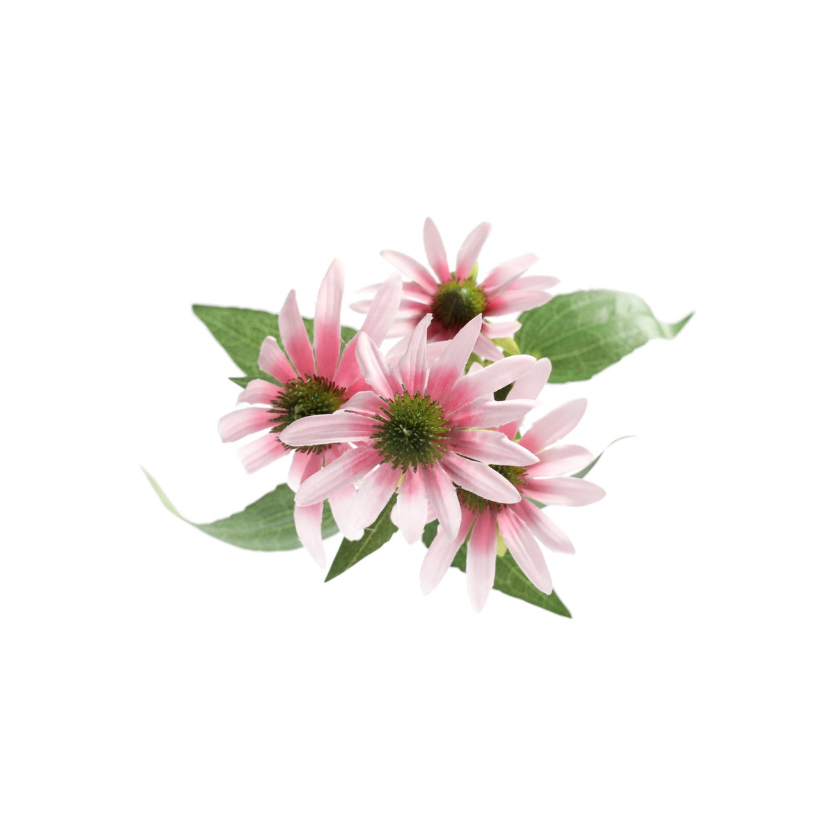 Bloem Rudbeckia lila 73 cm Bloem Rudbeckia lila 73 cm