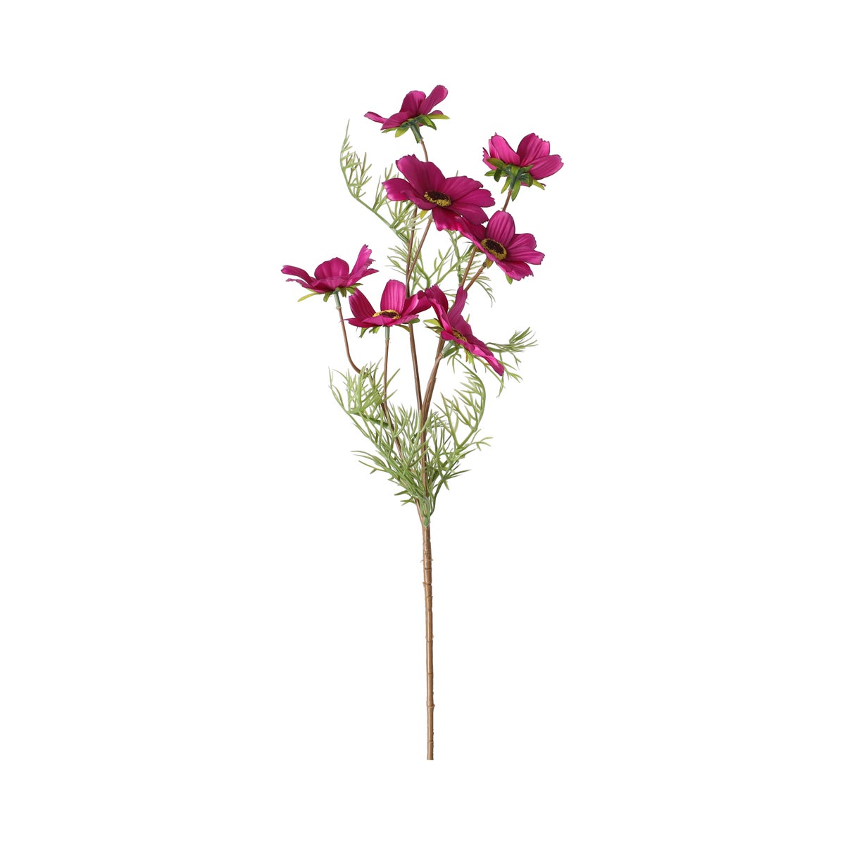Bloem Cosmos fuchsia 72 cm Bloem Cosmos fuchsia 72 cm