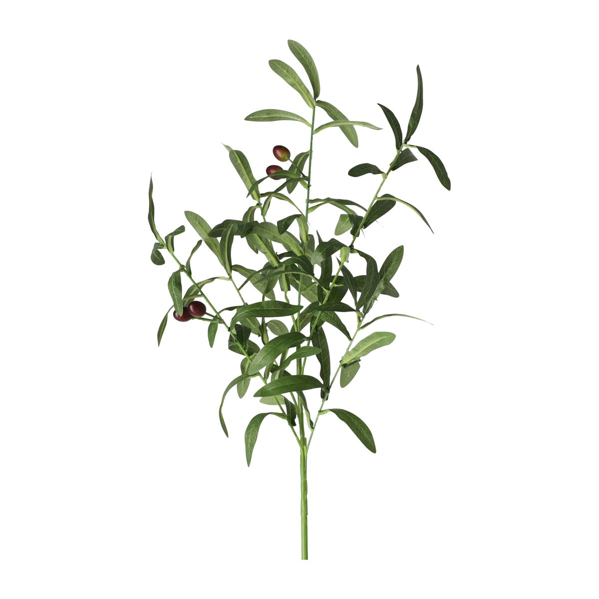 Olijftak 85 cm Olijftak 85 cm