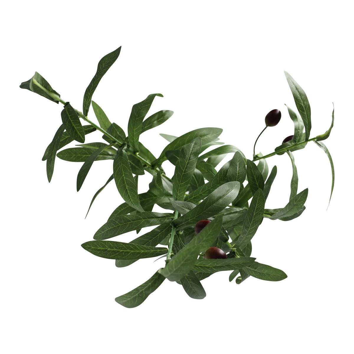 Olijftak 85 cm Olijftak 85 cm