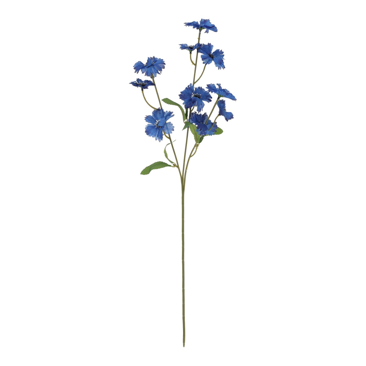 Tak cornflower blauw 55 cm Tak cornflower blauw 55 cm