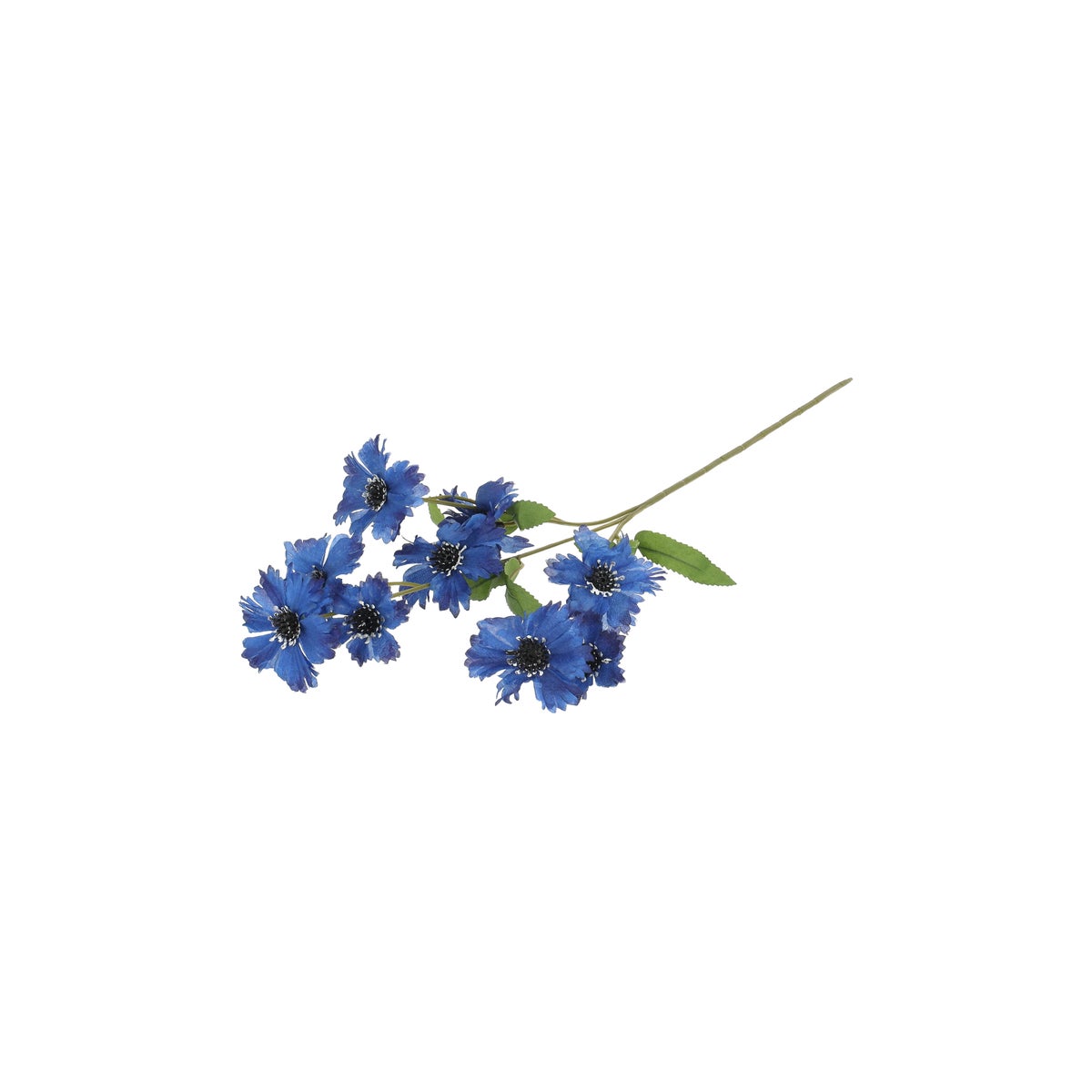 Tak cornflower blauw 55 cm Tak cornflower blauw 55 cm