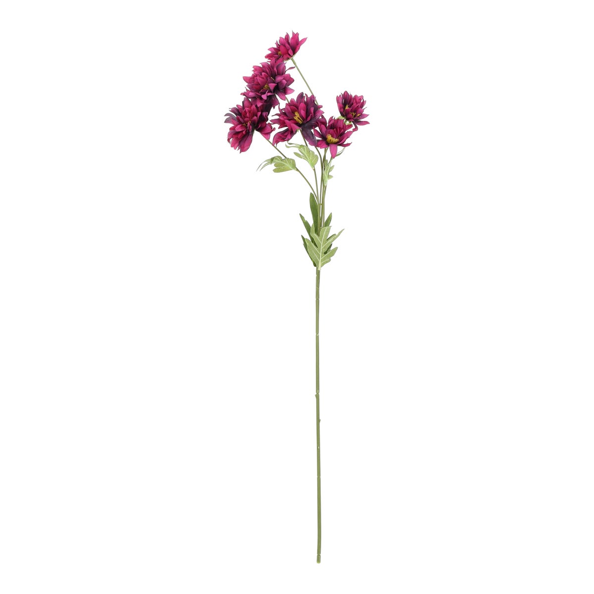 Bloem Chrysanthemum paars 80 cm Bloem Chrysanthemum paars 80 cm