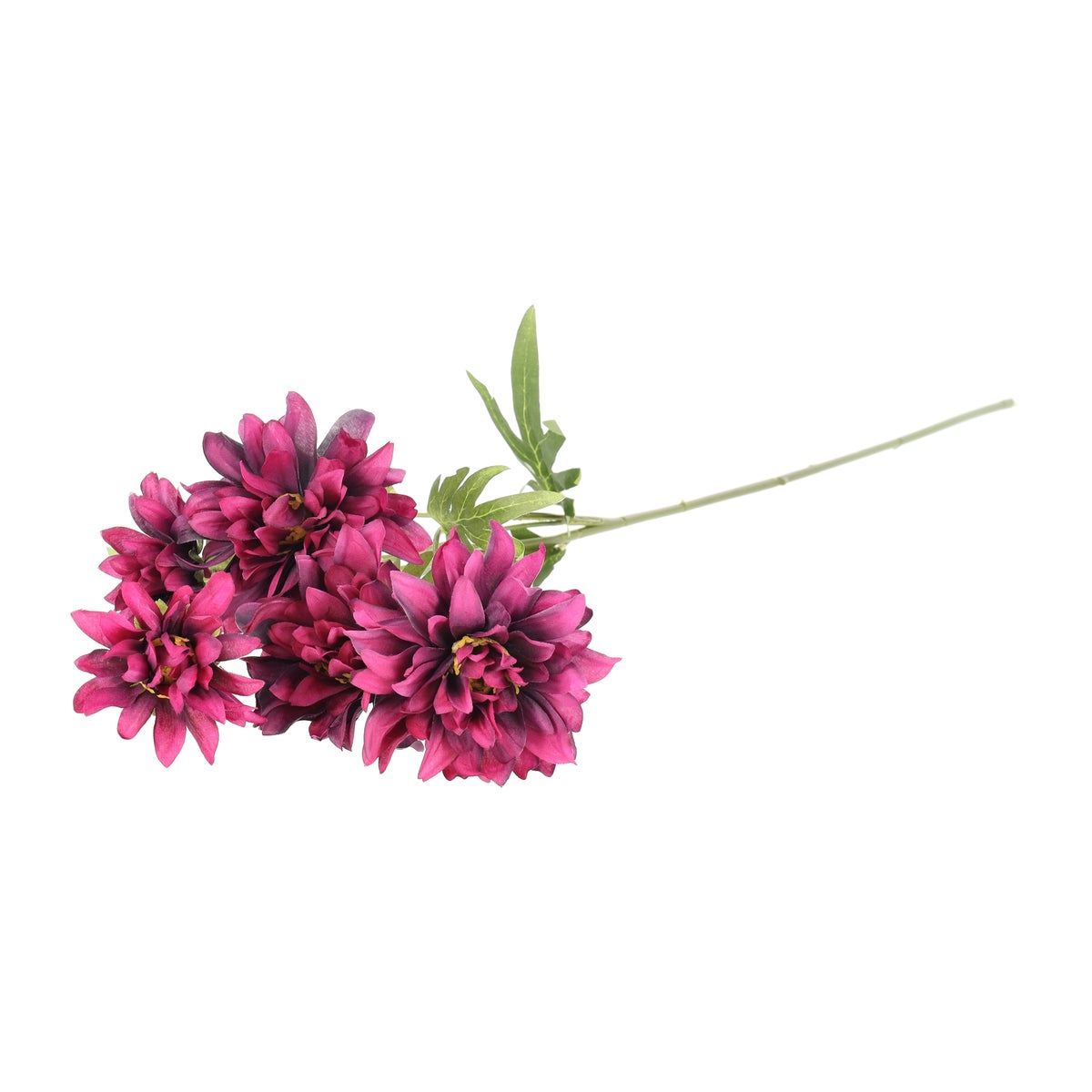 Bloem Chrysanthemum paars 80 cm Bloem Chrysanthemum paars 80 cm