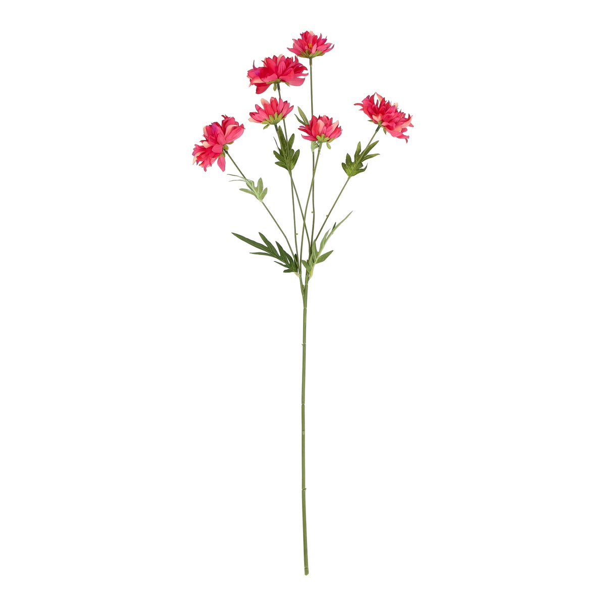 Bloem chrysanthemum roze 80 cm Bloem chrysanthemum roze 80 cm