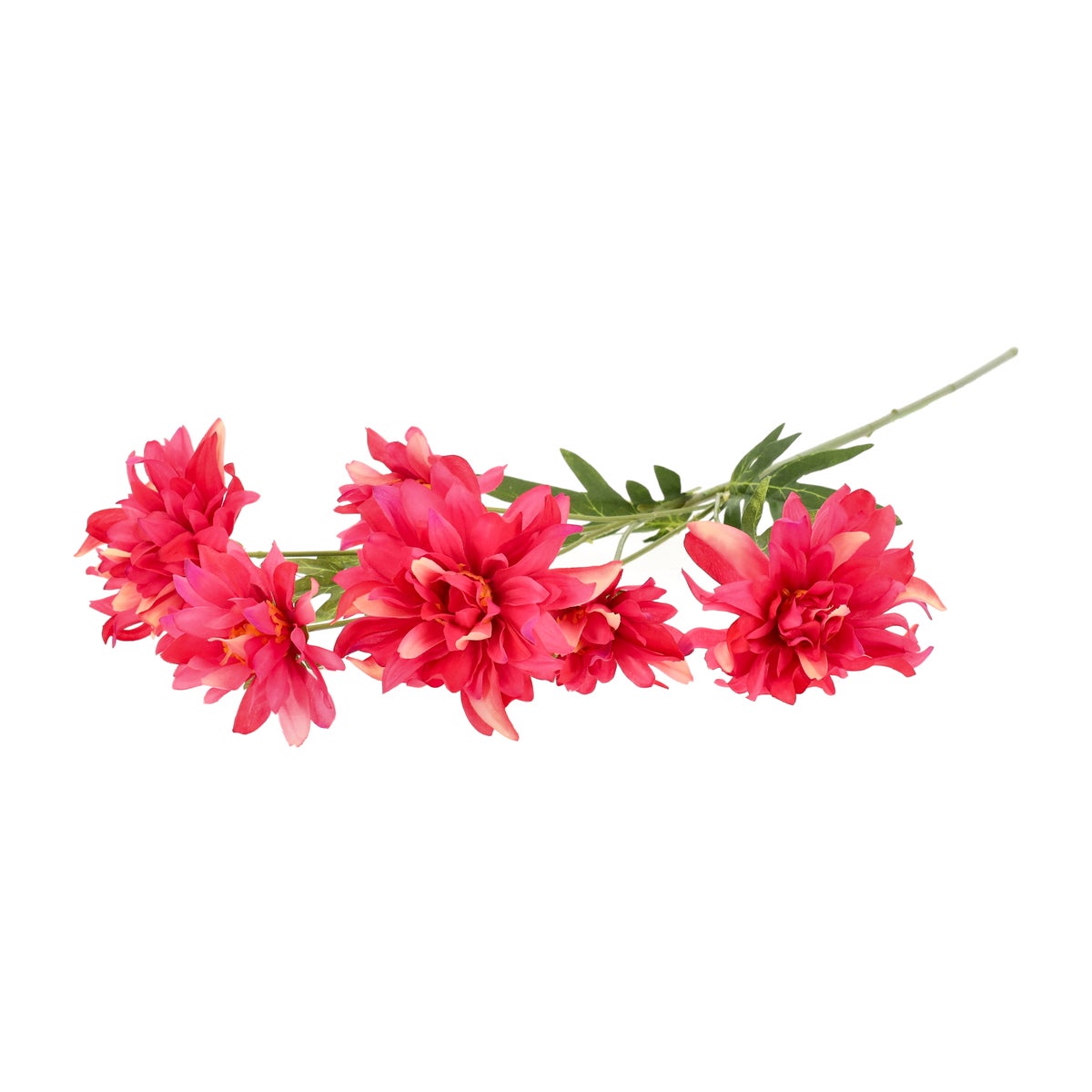 Bloem chrysanthemum roze 80 cm Bloem chrysanthemum roze 80 cm