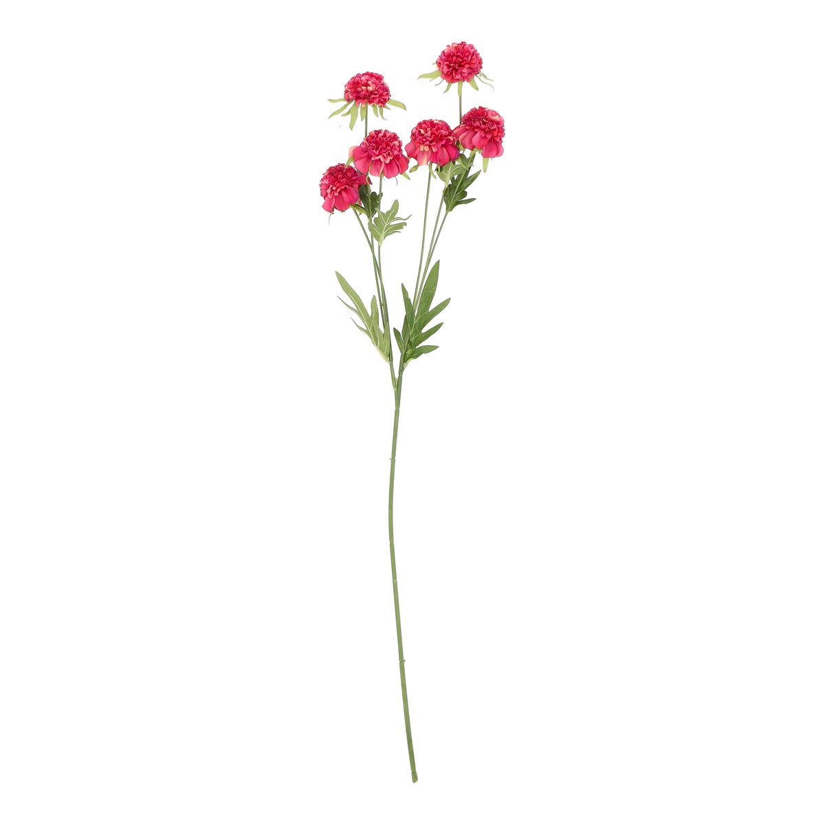 Bloem Marigold roze 80 cm Bloem Marigold roze 80 cm
