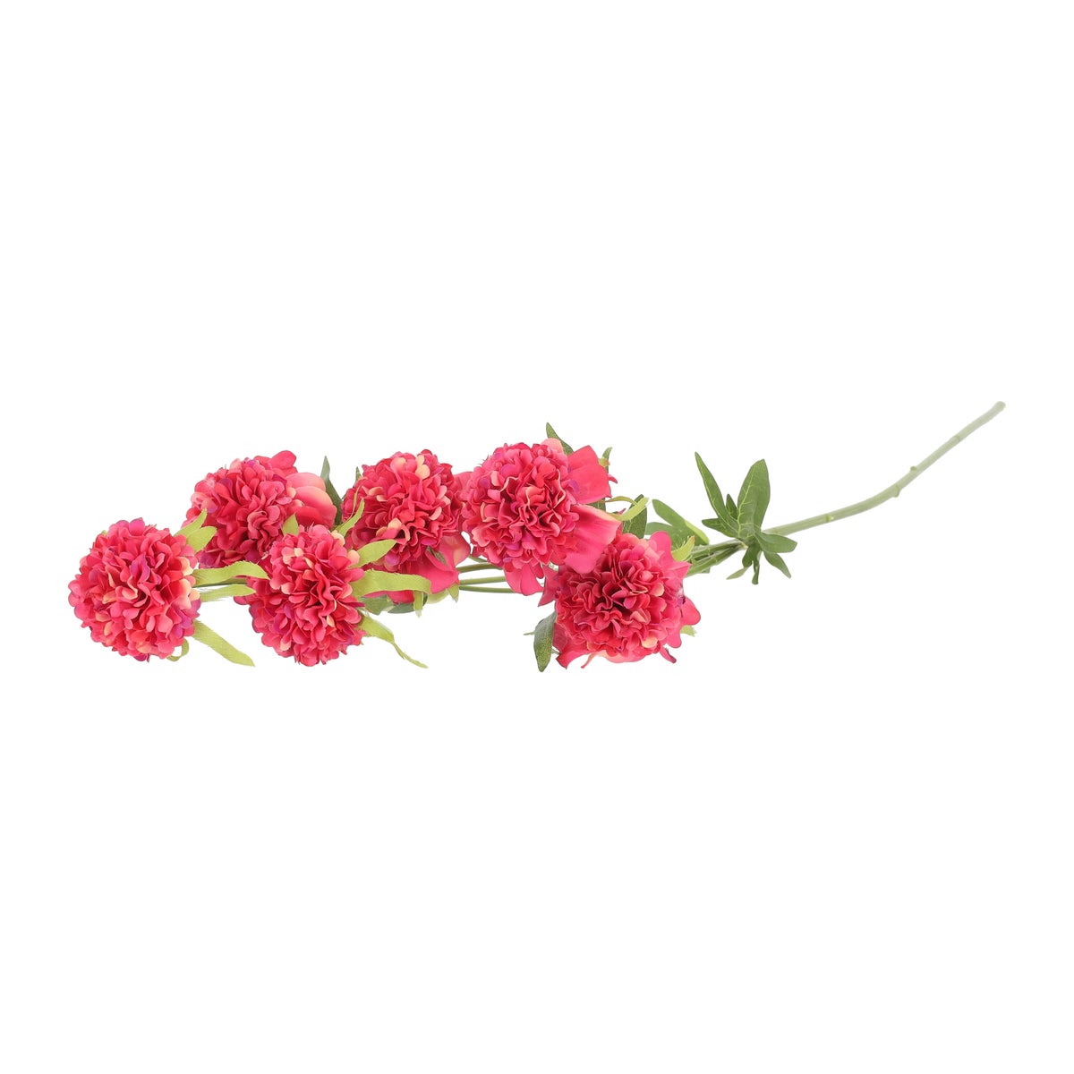 Bloem Marigold roze 80 cm Bloem Marigold roze 80 cm