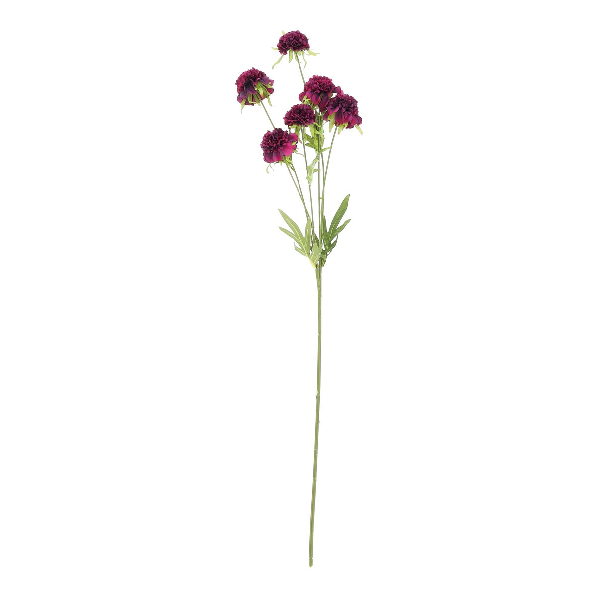 Bloem marigold donkerpaars 80 cm Bloem marigold donkerpaars 80 cm
