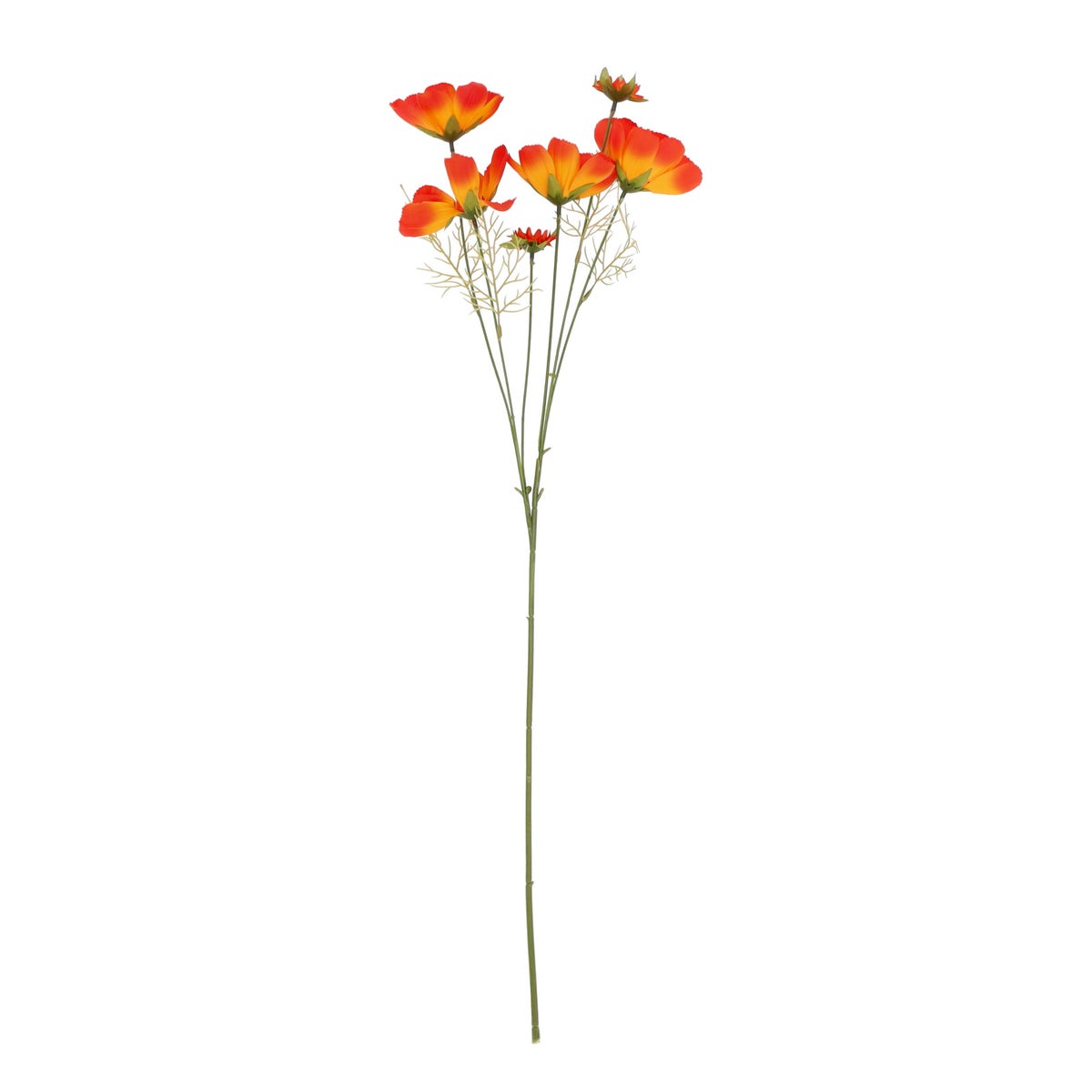Bloem Coreopsis oranje 80 cm Bloem Coreopsis oranje 80 cm