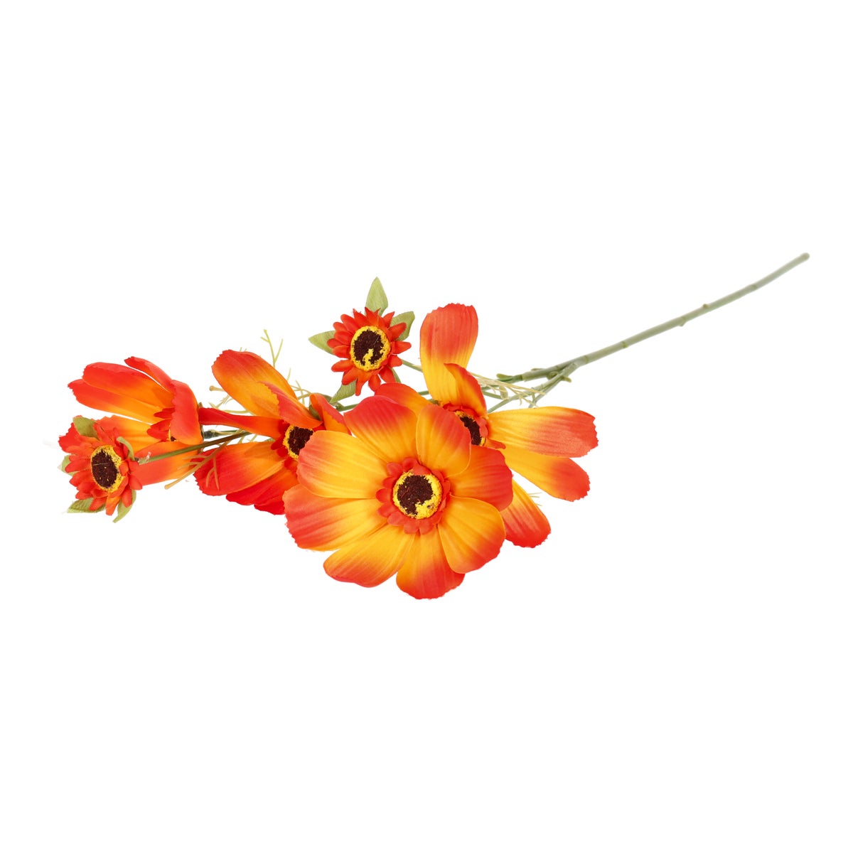 Bloem Coreopsis oranje 80 cm Bloem Coreopsis oranje 80 cm