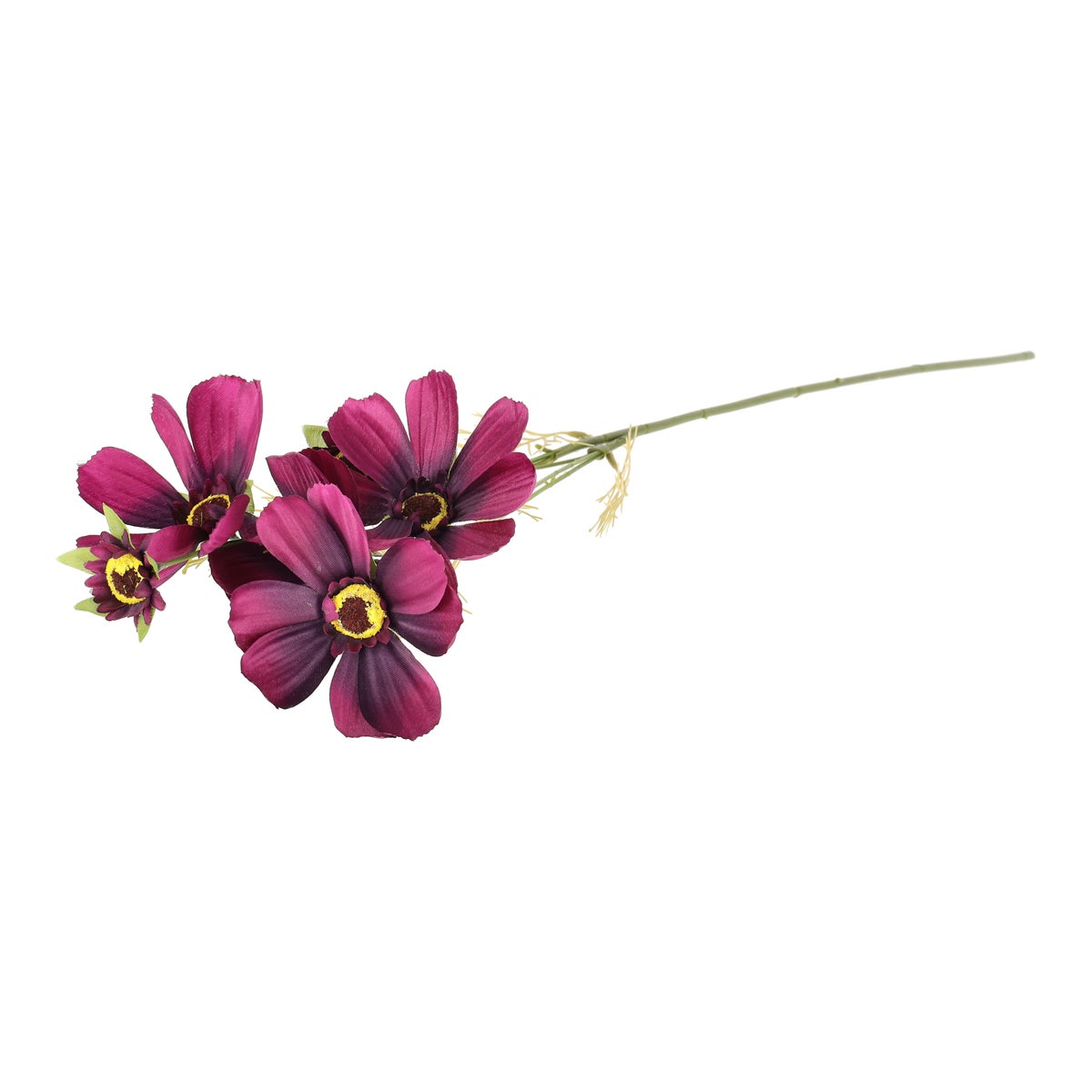 Bloem Coreopsis paars 80 cm Bloem Coreopsis paars 80 cm