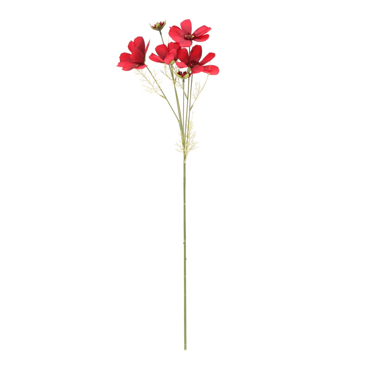 Bloem Coreopsis donkerroze 80 cm Bloem Coreopsis donkerroze 80 cm