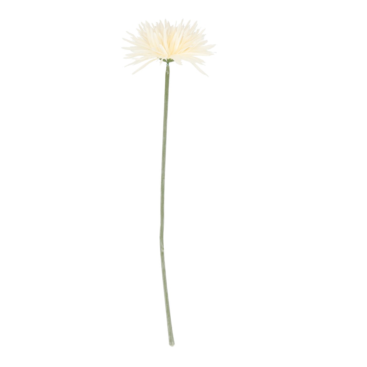 Tak Gerbera creme 58 cm Tak Gerbera creme 58 cm