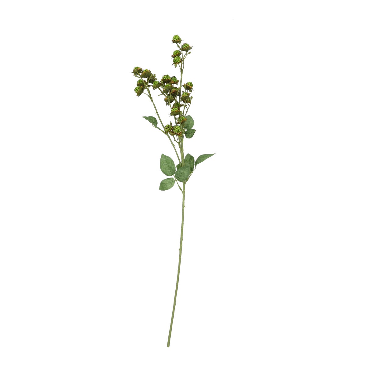 Tak wilde aardbei 80 cm Tak wilde aardbei 80 cm