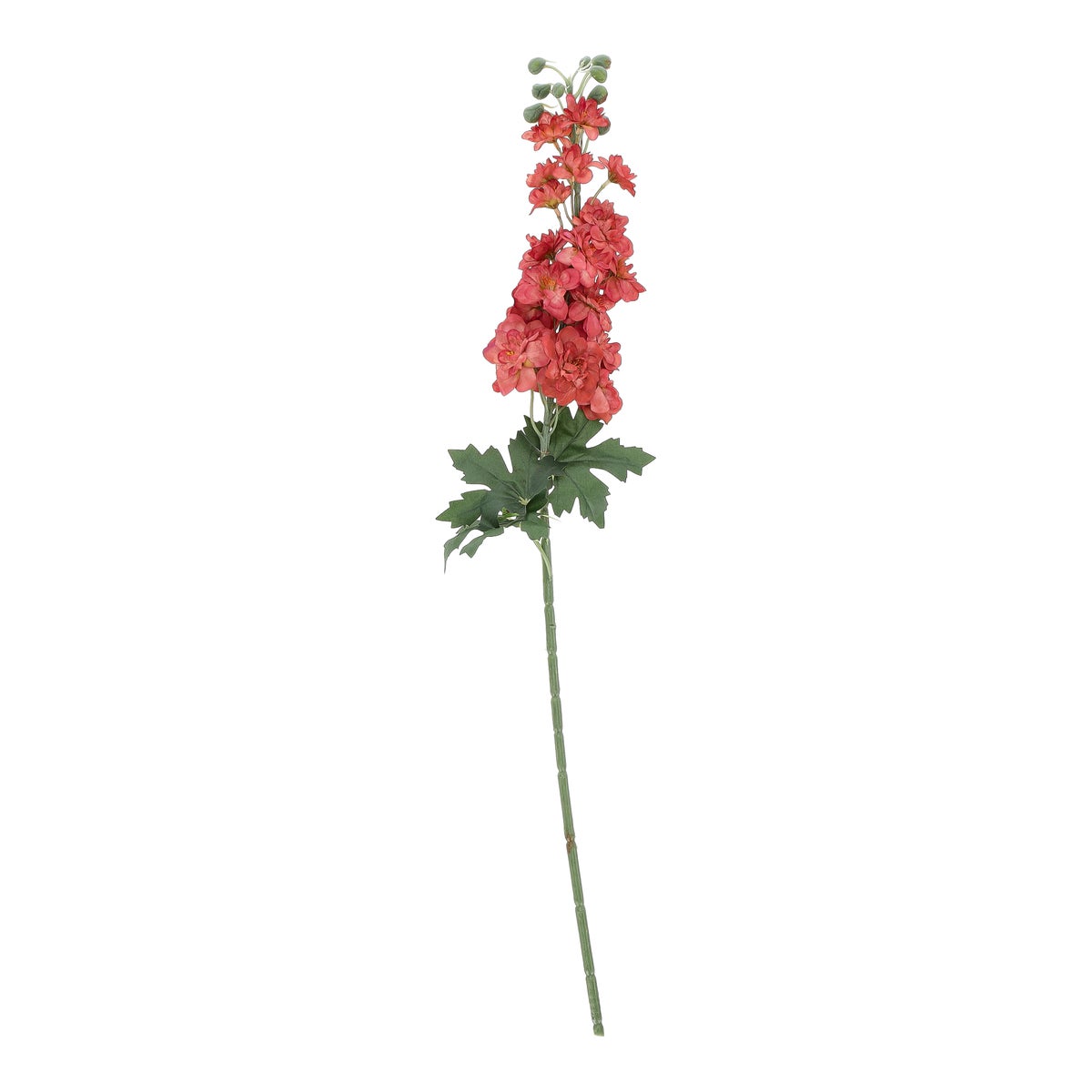 Bloem Delphinium oranje 80 cm Bloem Delphinium oranje 80 cm