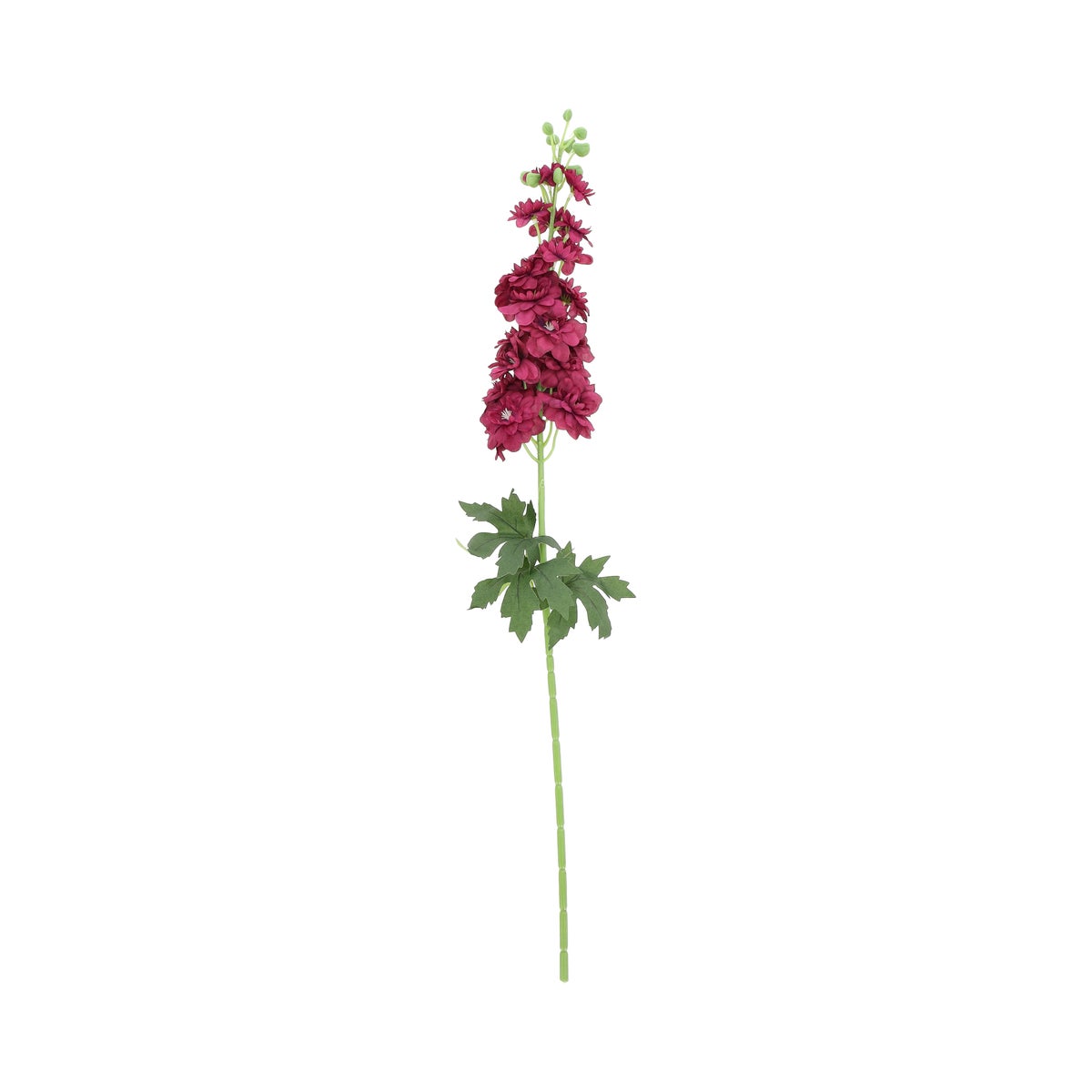 Bloem Delphinium paars 80 cm Bloem Delphinium paars 80 cm