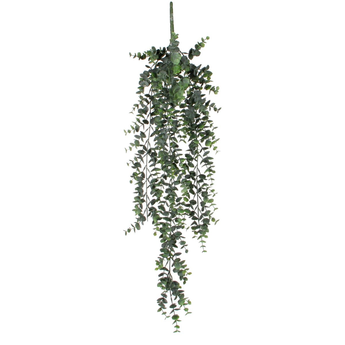 Tak hangend eucalyptus 78 x 22 cm Tak hangend eucalyptus 78 x 22 cm