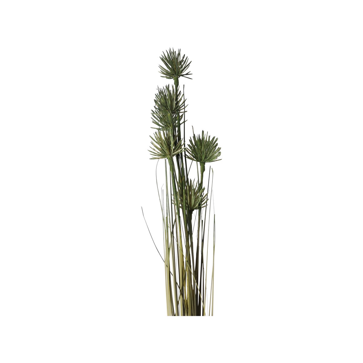 Tak bloem Anneleen groen Tak bloem Anneleen groen