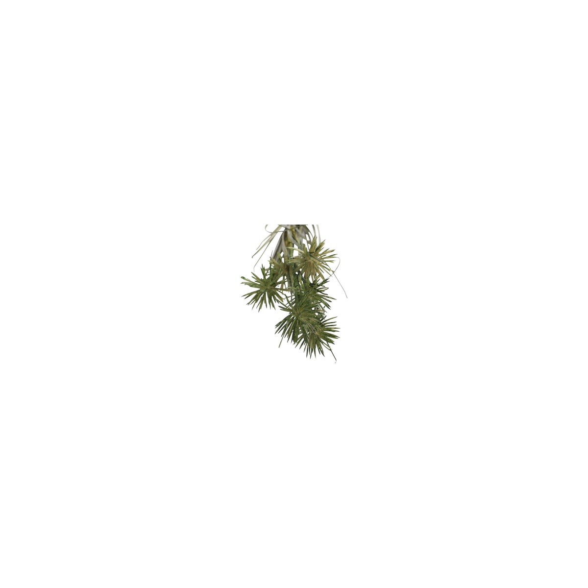 Tak bloem Anneleen groen Tak bloem Anneleen groen