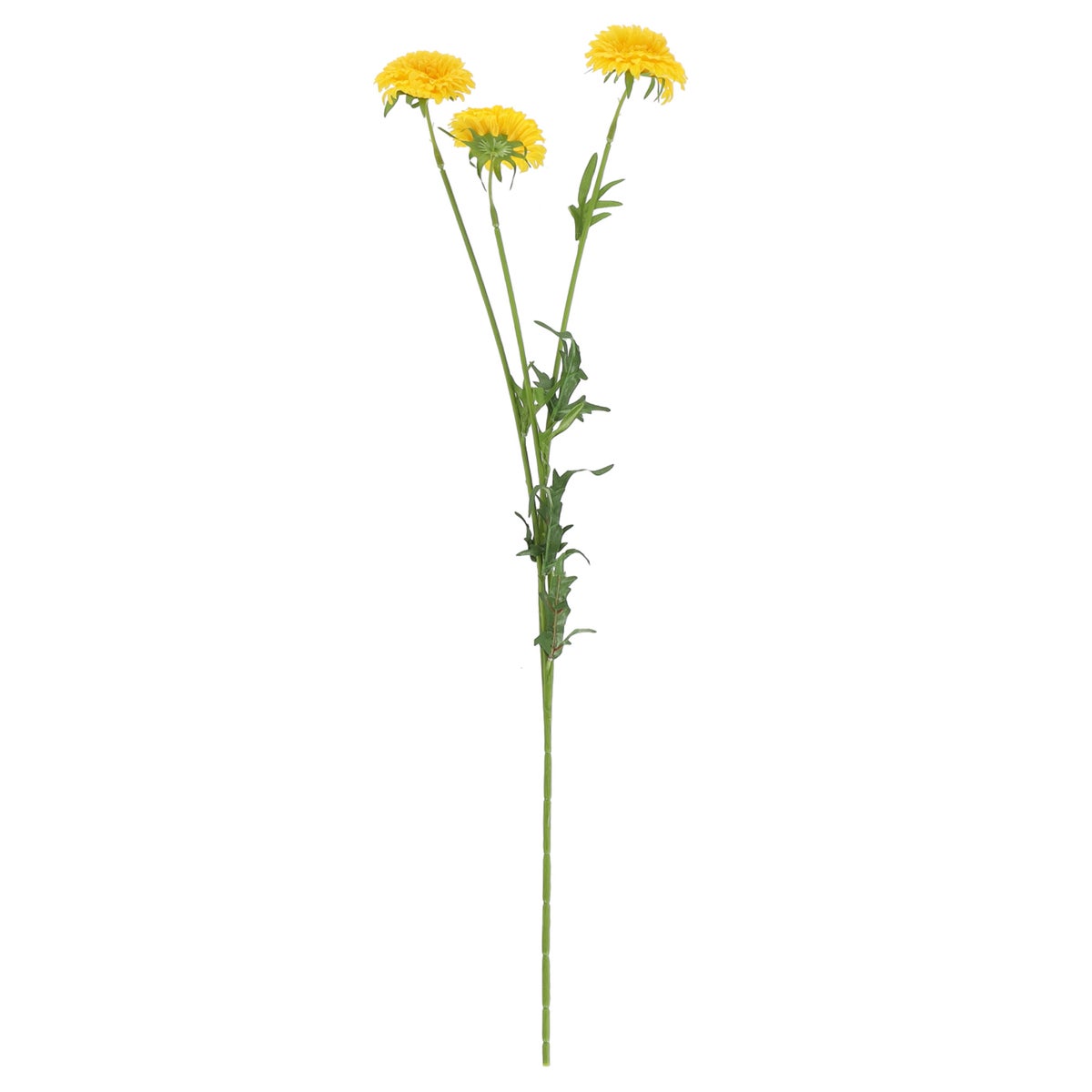Tak marigold geel 68 cm Tak marigold geel 68 cm