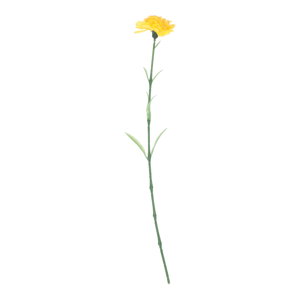 Tak Anjer geel 57 cm Tak Anjer geel 57 cm