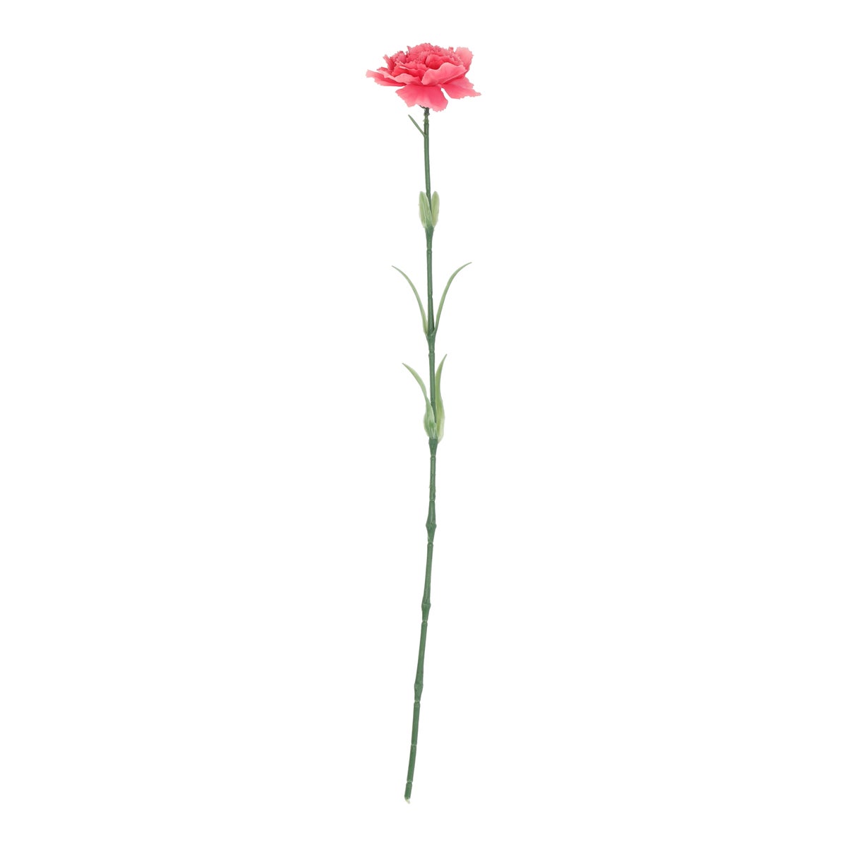 Tak Anjer roze 57 cm Tak Anjer roze 57 cm