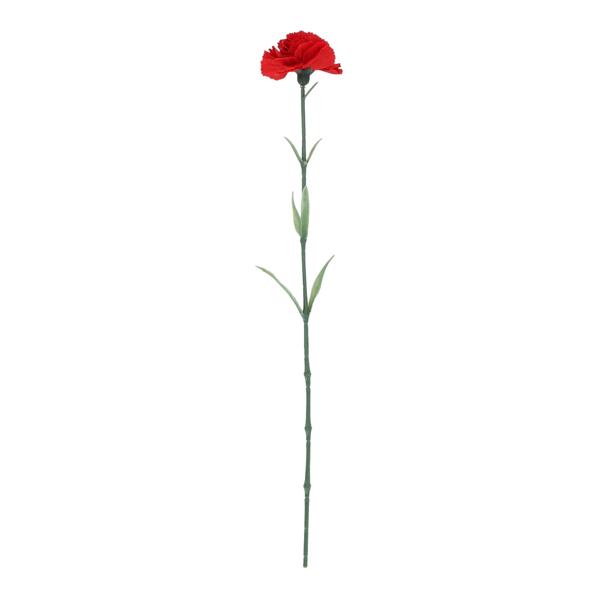 Tak Anjer rood 57 cm Tak Anjer rood 57 cm