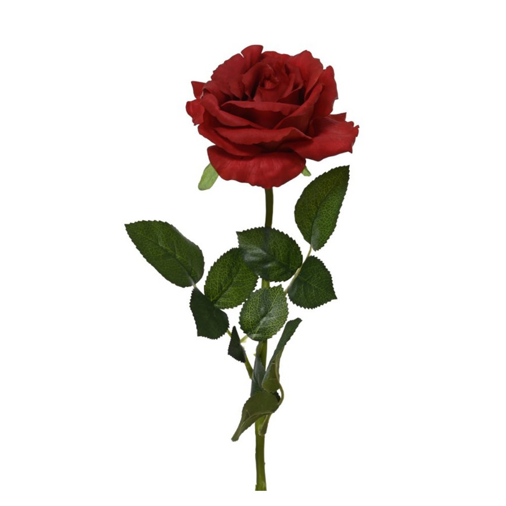 Roos rood 59 cm Roos rood 59 cm