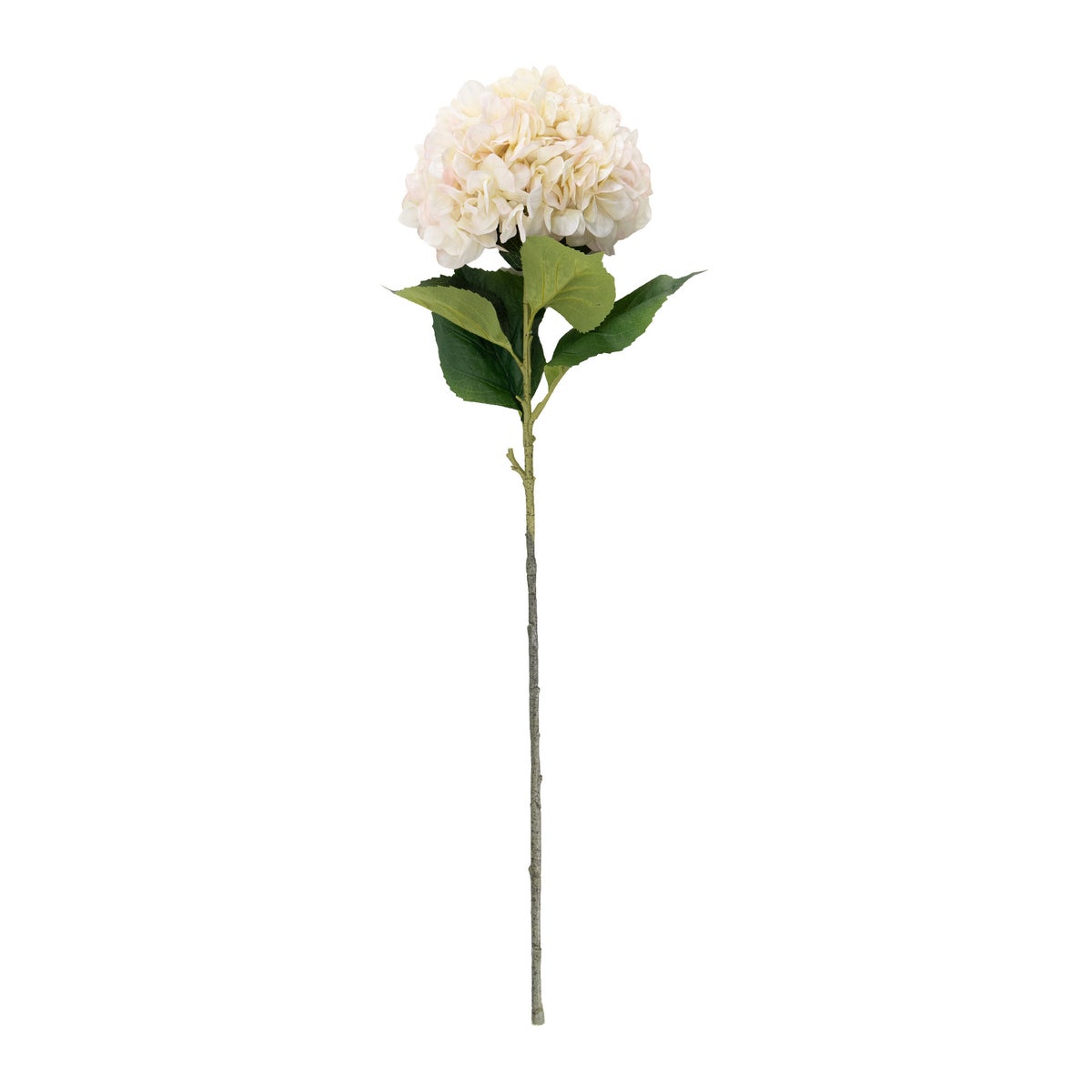 Tak hortensia creme 106 cm Tak hortensia creme 106 cm