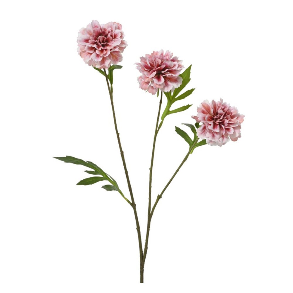 Tak marigold koraal 61 cm Tak marigold koraal 61 cm