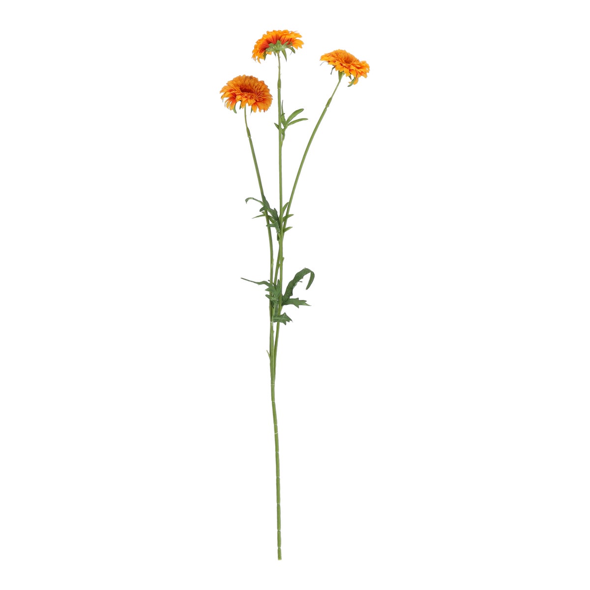 Tak marigold oranje 68 cm Tak marigold oranje 68 cm