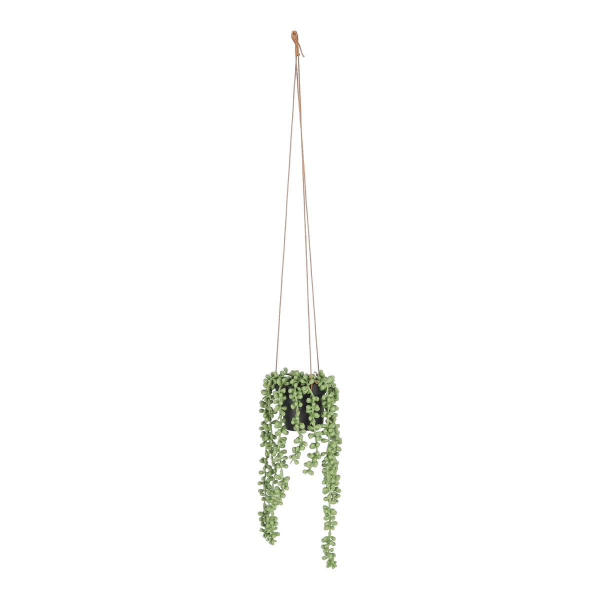 Erwtenplant hangend 36 cm Erwtenplant hangend 36 cm