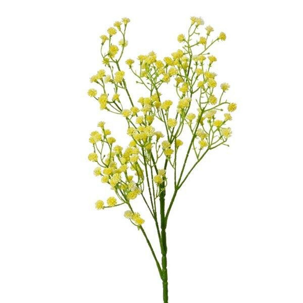 Gipskruid geel 65 cm Gipskruid geel 65 cm