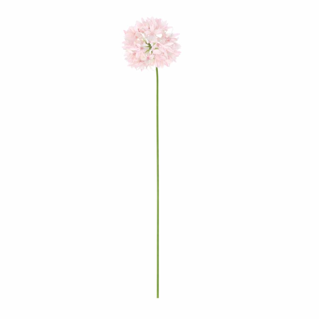 Tak petrea zacht roze 75 cm Tak petrea zacht roze 75 cm