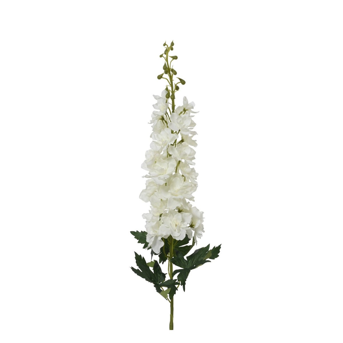 Tak Ridderspoor wit 93 cm Tak Ridderspoor wit 93 cm