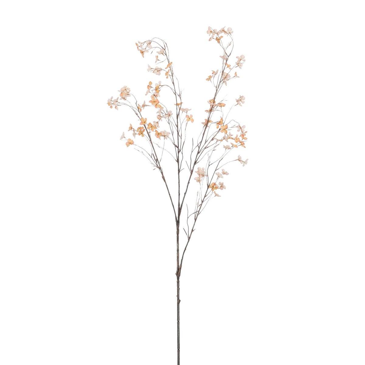 Bloesemtak bruin 131 cm Bloesemtak bruin 131 cm