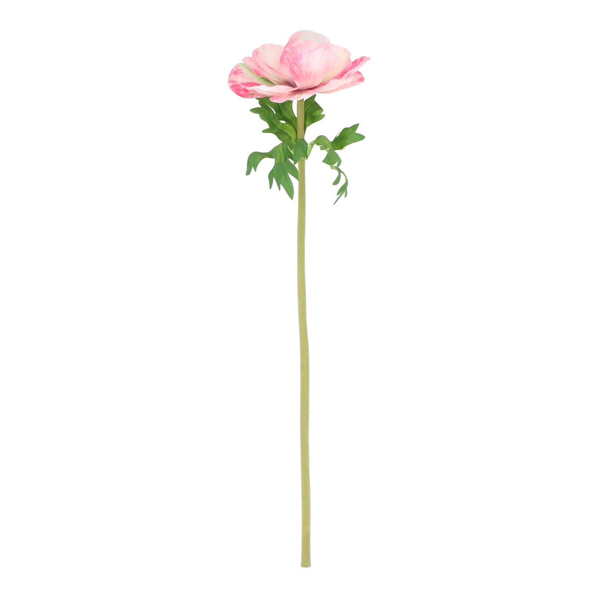 Tak anemoon roze 50 cm Tak anemoon roze 50 cm