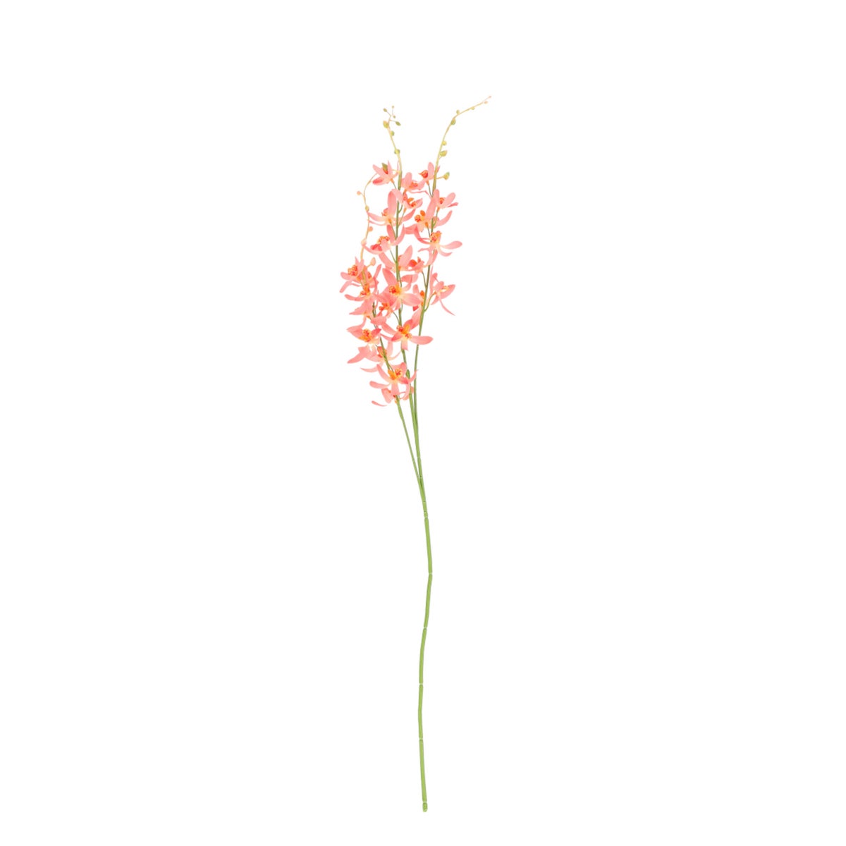 Tak Orchidee zalm 95 cm Tak Orchidee zalm 95 cm