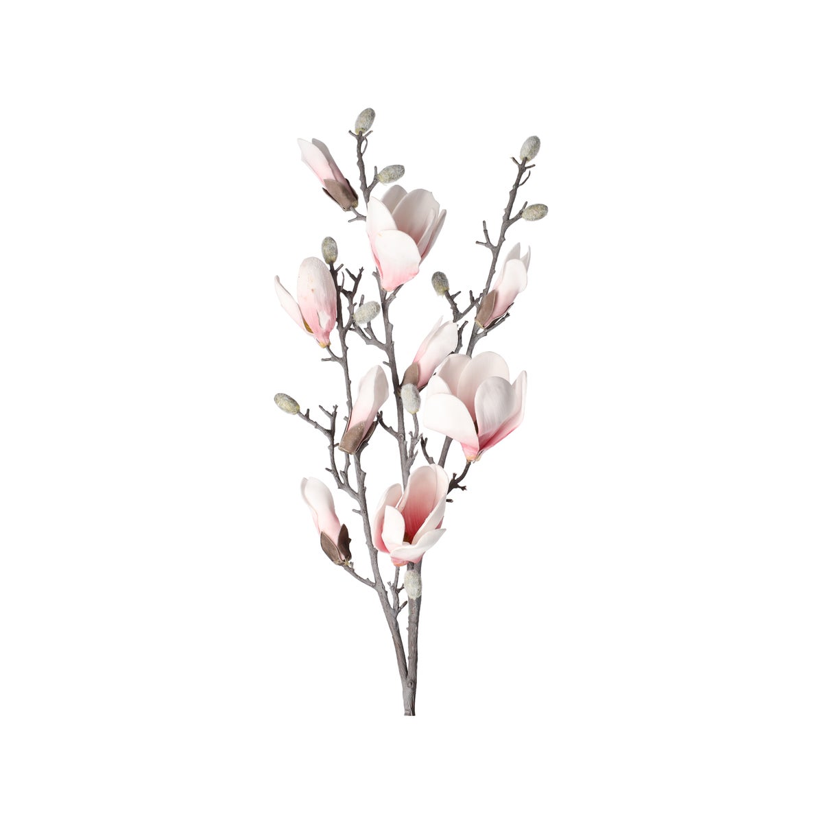 Tak magnolia katje roze 87 cm Tak magnolia katje roze 87 cm
