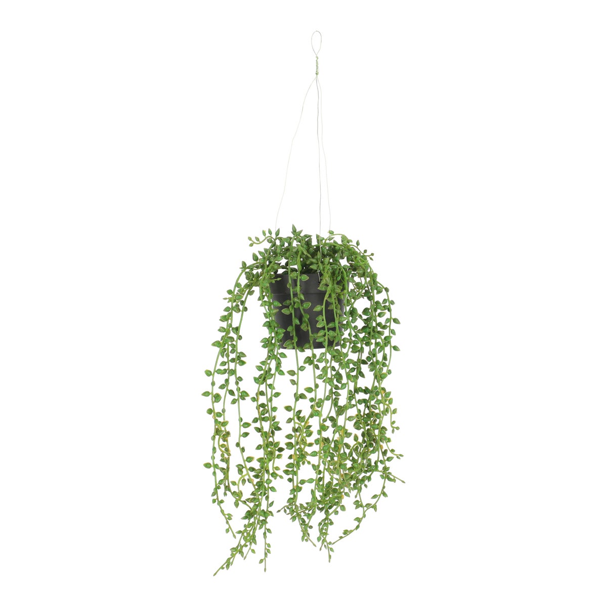 Plant hangend groen 40 cm Plant hangend groen 40 cm