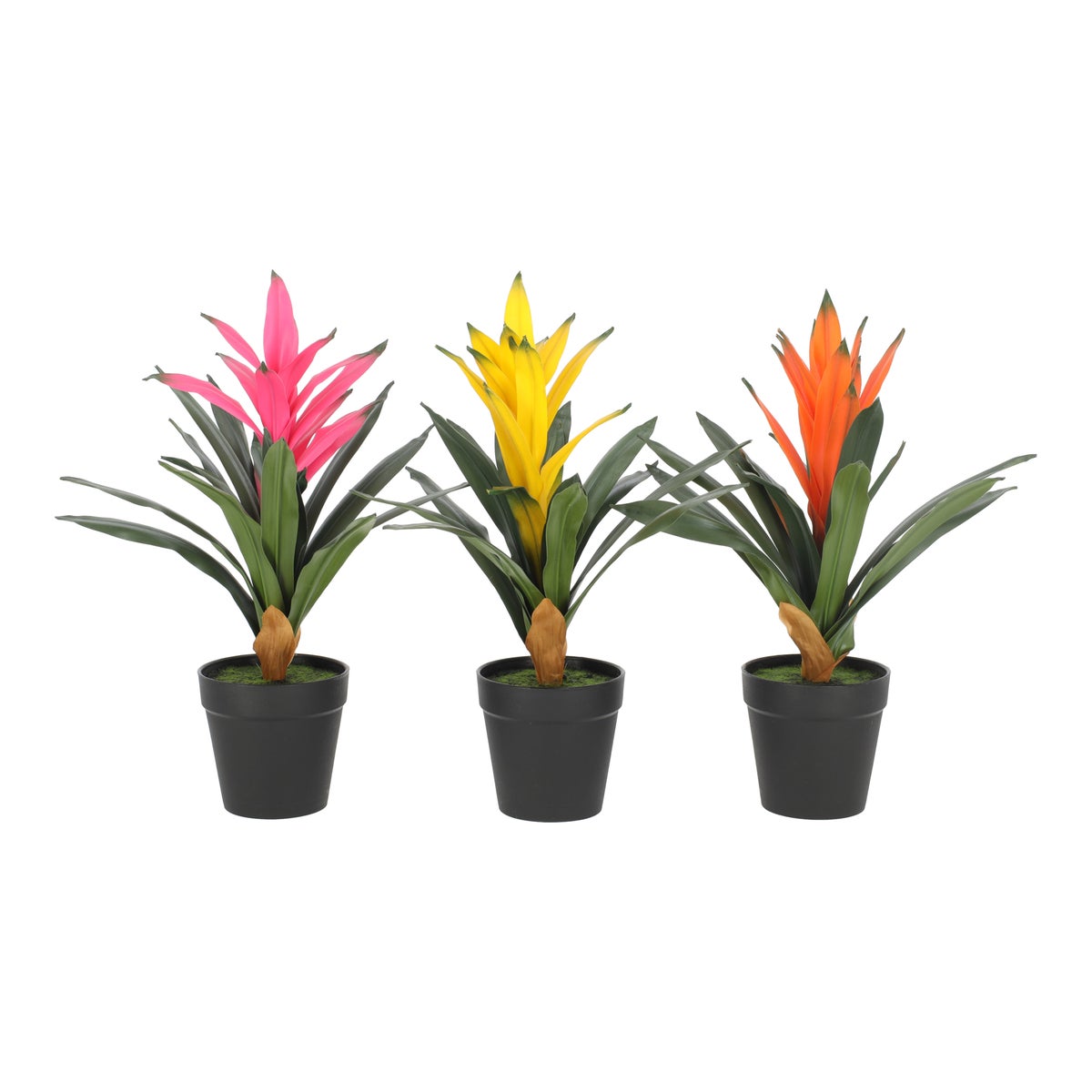 Plant bromelia 32 cm Plant bromelia 32 cm